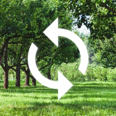 energy-reduction-and-recycling